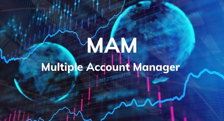 Tout ce que Vous Devez Savoir sur MAM
